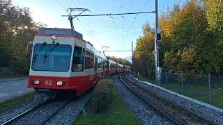 Durchfahrt vo de S18 Schnelzug nach Esslingen in Zollikon Waldburg [upl. by Ailedo]