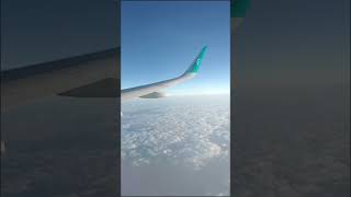 Flynas  Airplane ✈️  Riyadh  Saudi Arabia 🇸🇦  Sameer Kahloon  plane airplane riyadh saudi [upl. by Onaivatco]