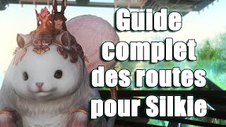 Guide des 12 entrées du donjon à embranchements amp monture Silkie de FFXIV  Toutes les fins [upl. by Brittany]