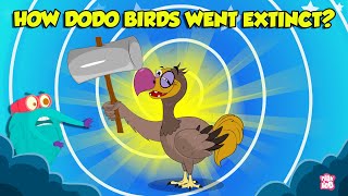 The Mysterious Extinction Of Dodo Birds  Story of Dodo Birds  Extinct Birds  The Dr Binocs Show [upl. by Ann-Marie]