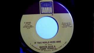 Marvin Gaye amp Tammi Terrell If This World Were Mine [upl. by Esinereb72]