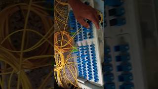 Fiber termination box  Internet  Find problem techsupport technicalb2k [upl. by Rusticus]