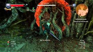 The Witcher 3  The Whispering Hillock Spirit Tree amp Endregas Combat Quen Aard Gameplay Sequence [upl. by Haskel877]