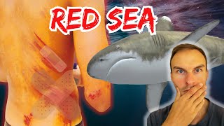 Top 5 Shocking Red Sea Threats You Need to Know Now [upl. by Arielle786]