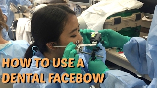 How To Use A Dental Facebow  Brittany Goes to Dental School [upl. by Lilly861]