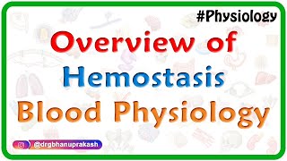 Overview of Hemostasis  Blood physiology Animated video lecture for MBBS [upl. by Hanser]