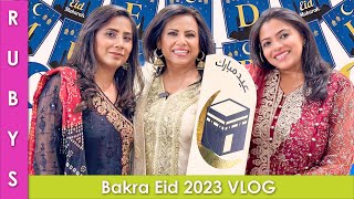 Bakra Eid 2023 VLOG in Urdu Hindi  RKK [upl. by Ahsatin]