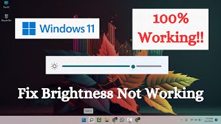 100 Working  Easily Fix Windows 11 Brightness Not Working  How to Fix  Learn With Sazzad [upl. by Uok]