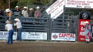 Rodeo USA bull attacks cowboy on horse [upl. by Ammej]