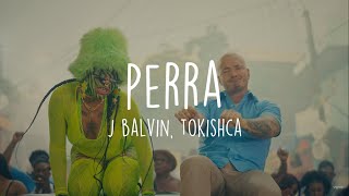 Perra  J Balvin Tokischa LetraLyric [upl. by Asirehc]