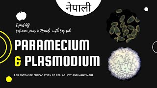 paramecium and plasmodium  protozoans  entrance preparation Nepal [upl. by Yltsew]