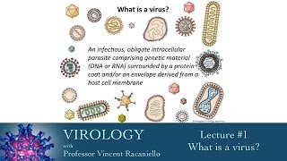 Virology 2014 lecture 1  What is a virus [upl. by Otanod]