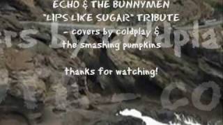 Echo amp the Bunnymen quotLips Like Sugarquot Cover Tribute feat Coldplay amp The Smashing Pumpkins [upl. by Yalahs679]