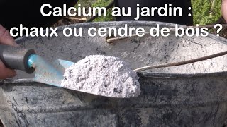 Calcium au jardin  chaux ou cendre de bois [upl. by Chemush161]