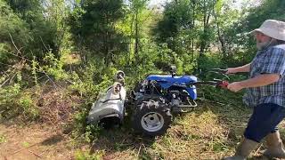 Bittante Flail mower Pulverizing Thorns and brambles [upl. by Eelirrem88]