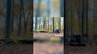 Jeep Drives On Hiking Trail In State Park… [upl. by Kath98]