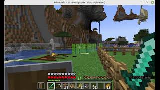 solominer mincraft server java v1211491021400 [upl. by Tawnya]