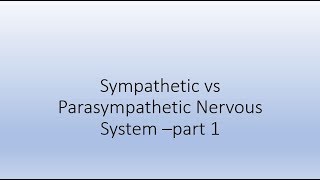 Sympathetic vs Parasympathetic  Part 1 [upl. by Ev]