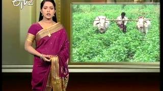 Etv2 Jai Kisan 11th November 2013 [upl. by Kendra]