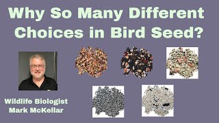 Why So Many Different Choices in Bird Seeds [upl. by Meyers]