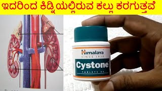 Cystone Tablet Review  ಇದರಿಂದ ಕಿಡ್ನಿಯಲ್ಲಿರುವ ಕಲ್ಲು ಕರಗುತ್ತವೆ  Himalaya Cystone Uses Side EFFECTS [upl. by Wilfreda640]