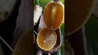 honeycomb nature honey fruit honeylife animals satisfying honeyberry animal [upl. by Fronniah903]