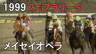 メイセイオペラ 1999年平成11年第16回フェブラリーSG1 [upl. by Maze]