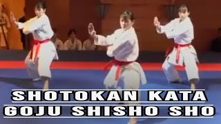 Dangerous Kata GOJU SHISHO SHO youtube karate shotokan minecraft gojushiosho karatedojo [upl. by Nimajeb]