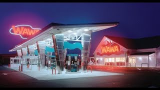 15 Facts That Prove Wawa Is The Best [upl. by Atteyram]