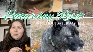 Saturday Reset ep 27 I can buy myself designerbags louisvuitton [upl. by Greenebaum715]