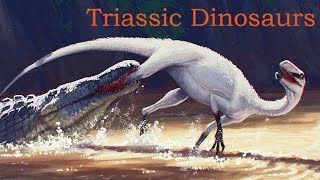 The Dinosaurs of the Triassic Period A Summary of the First Dinosaurs and their Rise to Dominance [upl. by Analram]