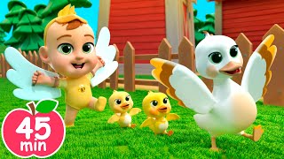 Old MacDonald Learn Animal Sounds  Newborn Baby Songs amp Nursery Rhymes [upl. by Yarak]