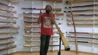 How to Create Didgeridoo Rhythms with Gumaroy Newman [upl. by Ennovy]