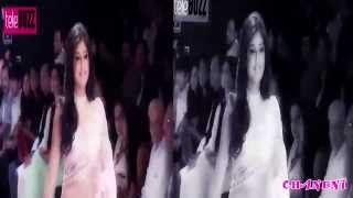 Kritika Kamra  Ramp Modelling [upl. by Geffner]