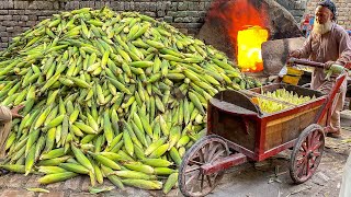 HOW 75 YEARS OLD MAN COOKING CORN IN SAND  BEST WAY TO COOK CORN COB  STEAMED CORN  PAKISTAN [upl. by Pulling]