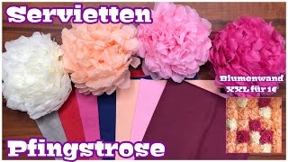 Servietten PFINGSTROSE basteln  XXL Blumenwand für 1€  Pfingsten  leicht amp schnell  DIY 🌸 [upl. by Alenson469]