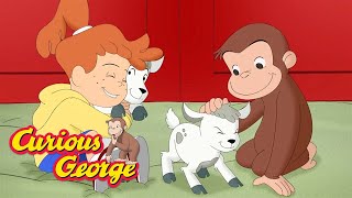 Curious George 🐔 George the Chicken 🐔 Kids Cartoon 🐵 Kids Movies 🐵 Videos for Kids [upl. by Blasien914]