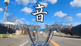 【高音質】ハーレー エンジン音 三拍子 Harley Davidson engine sound [upl. by Karola]