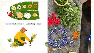 part1 For medicinal flowers amp plants for diabetic people etc Auroville [upl. by Cassella746]