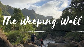 Hiking Kauai  Weeping Wall at Mount Waialeale [upl. by Sinnaiy]