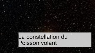 La constellation du Poisson volant [upl. by Wenn405]