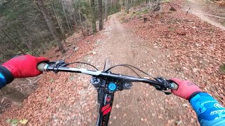 Downhill Rennen in Todtnau 2022  Rennlauf [upl. by Biondo]