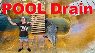 Alligator Pool FULL Drain [upl. by Akimad116]