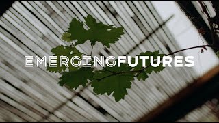 Emerging Futures Drug amp Alcohol Services Hertfordshire [upl. by Ardnazxela955]