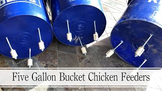 Making Five Gallon Bucket Chicken Feeders That Are RAT proof [upl. by Michella]