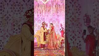 Wedding jaimala video shaadi wedding jaimalasong viralshort bhojpurishadisong songs status [upl. by Valentijn187]