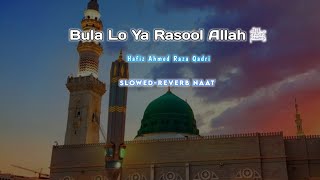 Bula Lo YA Rasool Allahﷺ 💚 Slowedreverb Version  Naat Sharif  By Hafiz Ahmed Raza Qadri [upl. by Nikola420]