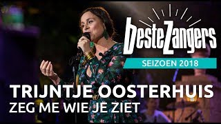 Trijntje Oosterhuis  Zeg me wie je ziet  Beste Zangers 2018 [upl. by Dyche527]