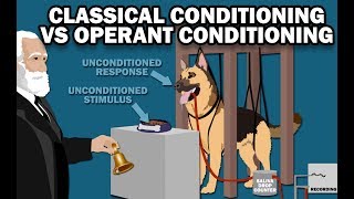 CLASSICAL VS OPERANT CONDITIONING [upl. by Luella]