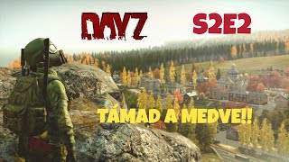 MAJDNEM MEDVE VACSI LETTEM I S2E2 I NEW NWA I PVPLOOT I DayZ 123 MAGYAR gameplay dayz survival [upl. by Kallista501]